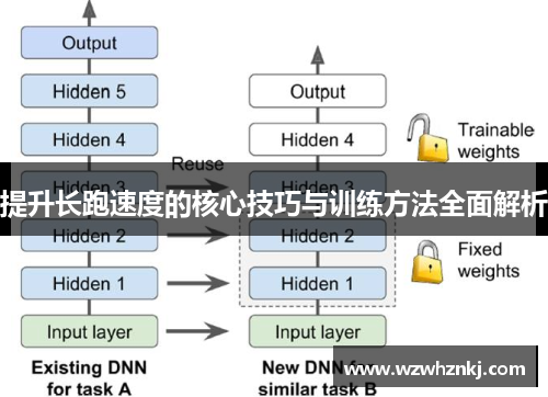 提升长跑速度的核心技巧与训练方法全面解析