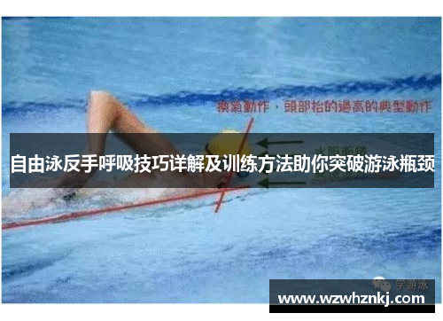 自由泳反手呼吸技巧详解及训练方法助你突破游泳瓶颈