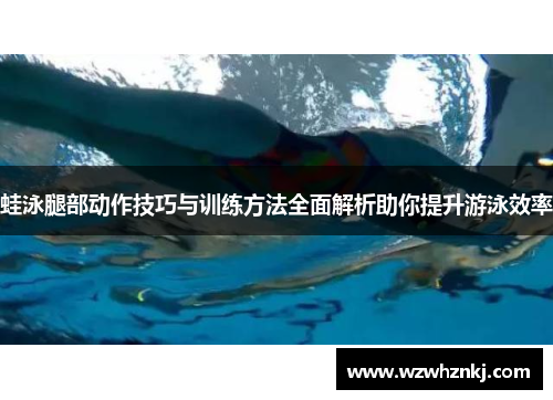 蛙泳腿部动作技巧与训练方法全面解析助你提升游泳效率