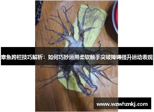 章鱼跨栏技巧解析:如何巧妙运用柔软触手突破障碍提升运动表现 章鱼跨栏技巧解析:如何巧妙运用柔软触手突破障碍提升运动表现